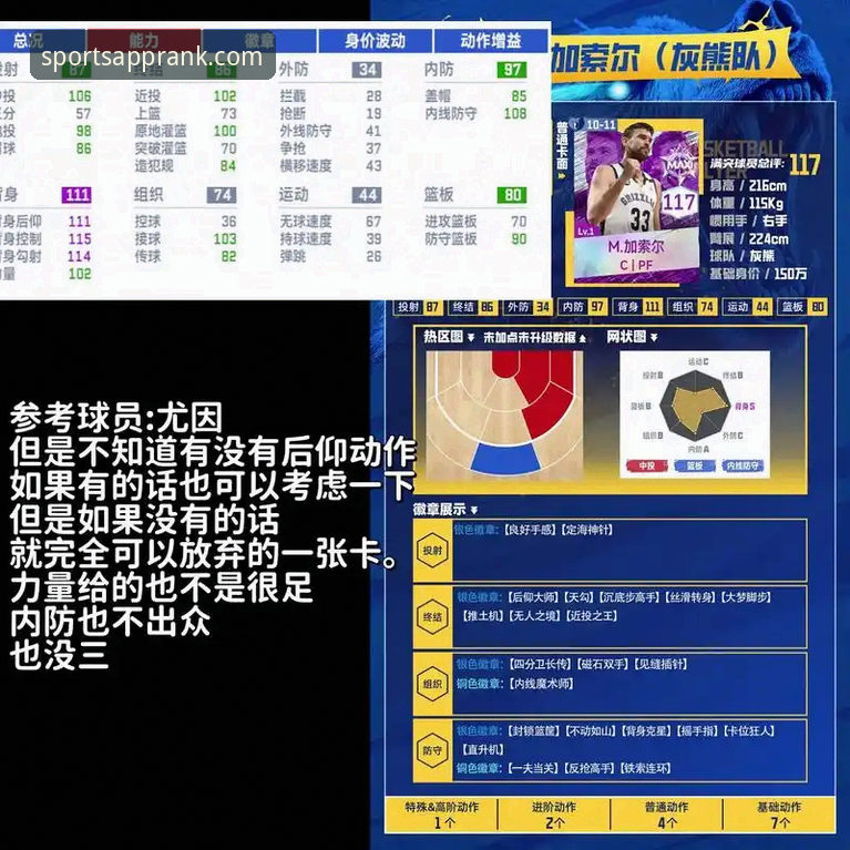 篮球爱好者APP 体育排行榜APP深度对比:篮球爱好者APP vs 综合体育平台,谁更懂你的需求?